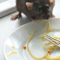 What are the four methods used in controlling pests?