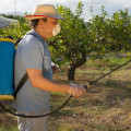Pest Control Services: Why They Matter And How To Choose The Right Company In Forney, TX
