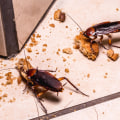 What do pest control companies use for roaches?