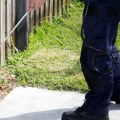 How many times should pest control come?