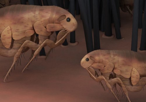 How long does it take for pest control to get rid of fleas?