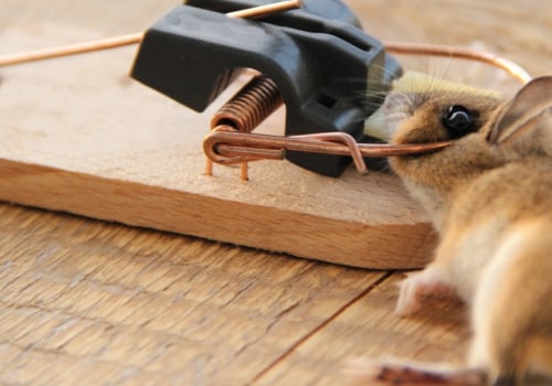 Will pest control get rid of mice?