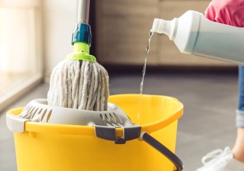 How often should you spray your home?
