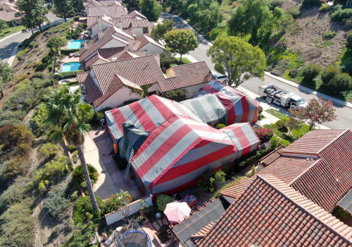 Navigating Termite Troubles: Expert Pest Control Solutions In Anaheim, CA