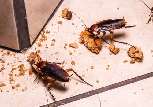 What do pest control companies use for roaches?