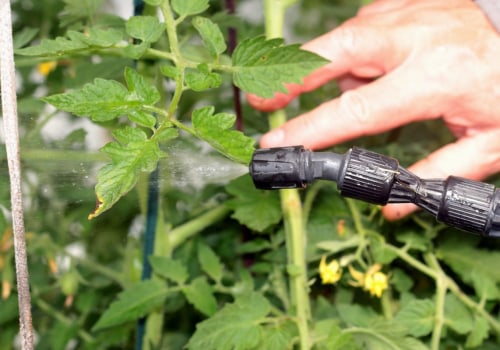 What is the best pest control method?